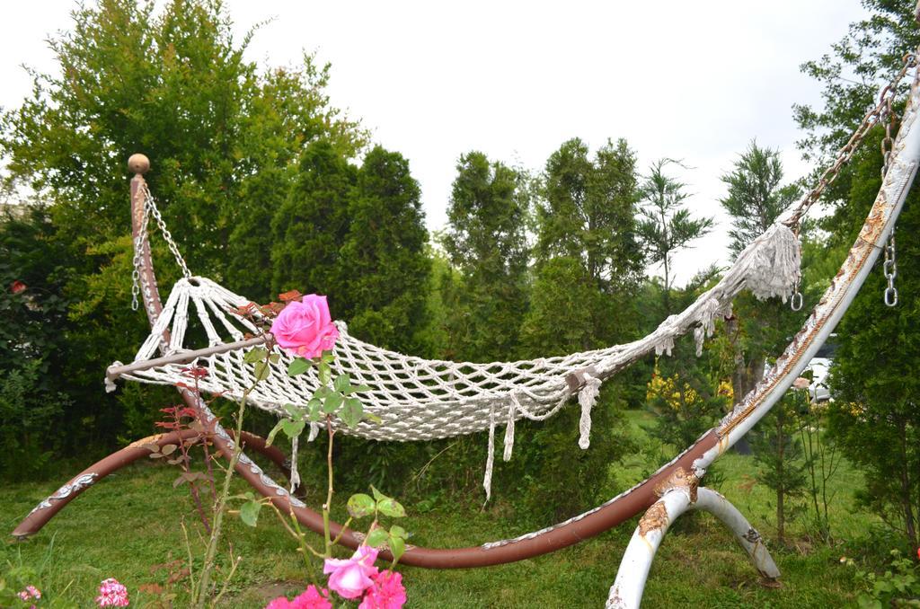 Vilă Oezdilek Sapanca